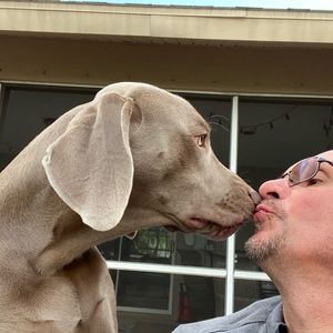 Meet your Posher, Peter